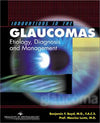 Innovations in the Glaucomas by Benjamin F. Boy [Hardcover]
