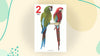 My Jumbo Book of Numbers [Paperback]