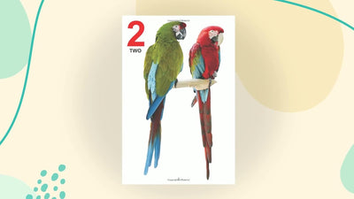 My Jumbo Book of Numbers [Paperback]