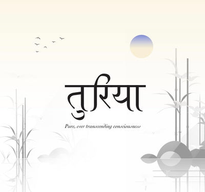 The Vast Empty by Turiya [Paperback]