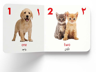 My First English-Arabic Learning Library Boxset of 10 Picture Books [Board book]