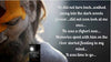 Reminiscences Of A Seeker by Kapil Kumar Bhaskar