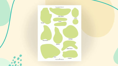 Play with Sticker - Vegetables [Paperback]