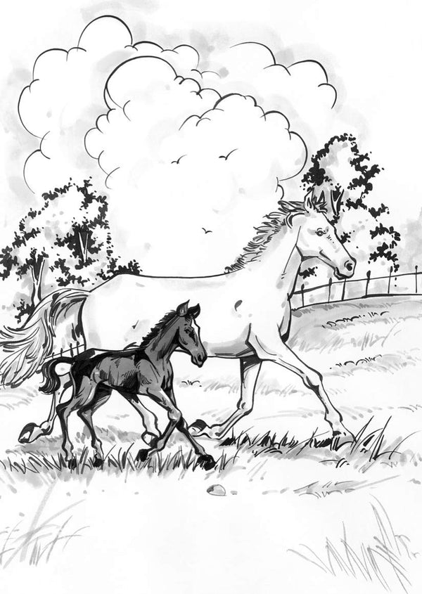 Children Classics - Black Beauty by Anna Sewell [Hardcover]