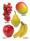 Fruit Small Board Book for Children [Hardcover]