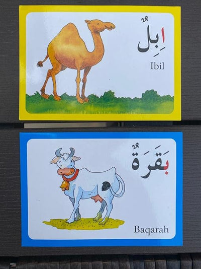 Arabic Alphabet Flash Cards