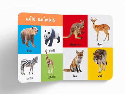My First 100 Library: Boxset of 5 Early Learning [Board Books]