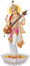 Large Wall Sticker JUST Peel & Stick Size 50 or 60 cm Pack of 1 (Code GS1483)