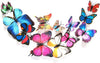 Large Wall Sticker JUST Peel & Stick Size 50 or 60 cm Pack of 1 (Code GS65