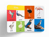My First 100 Library: Boxset of 5 Early Learning [Board Books]