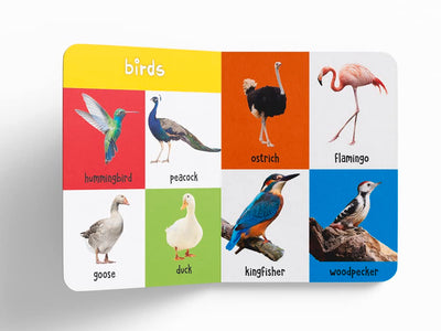 My First 100 Library: Boxset of 5 Early Learning [Board Books]