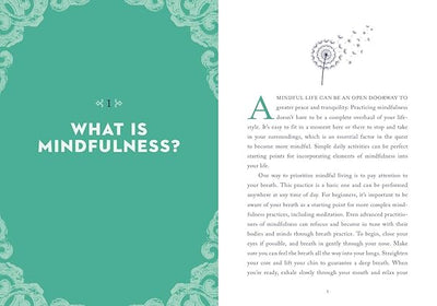 A LITTLE BIT OF MINDFULNESS by Amy Leigh Mercree [Hardcover]