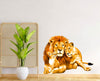 Lion King Queen Wall Sticker for Living Room/Bedroom/Office (Size - 38 Cm X 29 Cm)