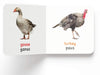 My First English-Español Learning Library Boxset of 10 [Paperback] Spanish Edition