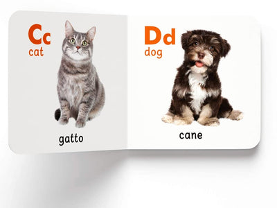 My First English-Italiano Learning Library - 10 Books [Board book]