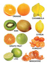 Fruit Small Board Book for Children [Hardcover]
