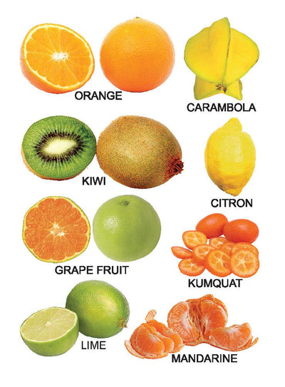 Fruit Small Board Book for Children [Hardcover]