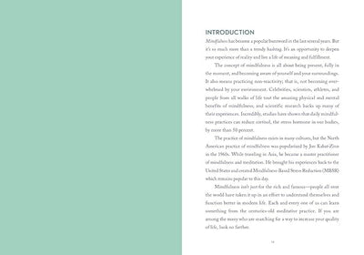 A LITTLE BIT OF MINDFULNESS by Amy Leigh Mercree [Hardcover]
