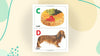 ABC Learning A to Z Book for Children Age 2 -4 Years by Dreamland Publications [Paperback]