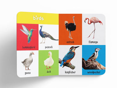 My First 100 Library: Boxset of 5 Early Learning [Board Books]