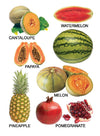 Fruit Small Board Book for Children [Hardcover]