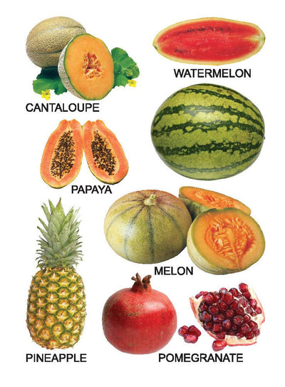 Fruit Small Board Book for Children [Hardcover]
