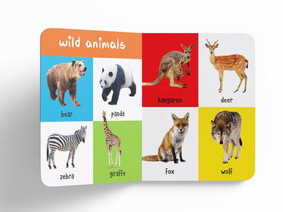 My First 100 Library: Boxset of 5 Early Learning [Board Books]