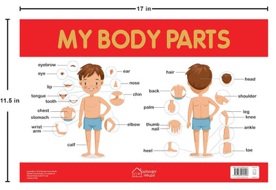 My Body Parts Chart [Perfect Paperback]