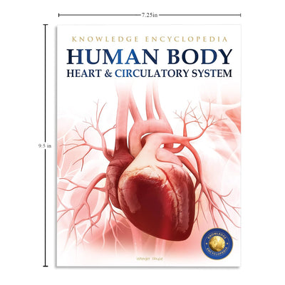 Human Body Box Set Knowledge Encyclopedia For Children [Paperback]