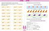 The Ultimate Workbook for Children by Team Pegasus [by Team Pegasus]