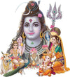 Large Wall Sticker JUST Peel & Stick Size 50 or 60 cm Pack of 1
