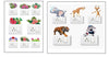 Decorative Switch Board/Pannel Floral Design with Animated Animals Wall Stickers for Home Living Room Bedroom Decor Combo Pack
