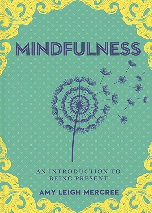 A LITTLE BIT OF MINDFULNESS by Amy Leigh Mercree [Hardcover]