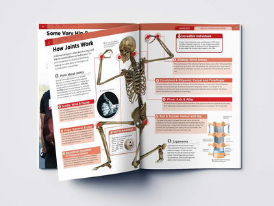 Human Body Box Set Knowledge Encyclopedia For Children [Paperback]