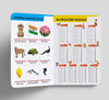 My First All in One [Board book] Hindi Edition