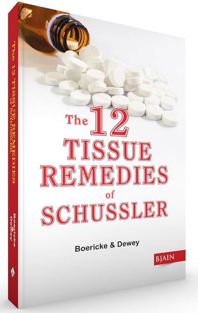 The 12 Tissue Remedies of Schussler by Dewey, Boericke [Paperback]