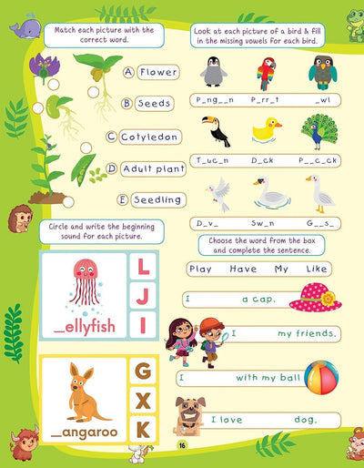 505 Activities for Kids Age 4+ by Dreamland Publications [Paperback]