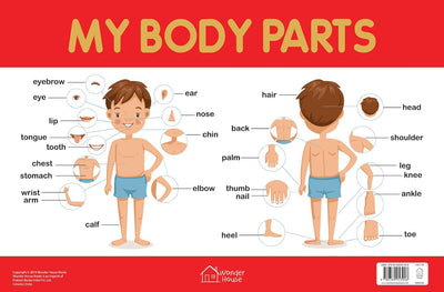 My Body Parts Chart [Perfect Paperback]