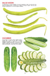 My Jumbo Book of Vegetables [Hardcover]