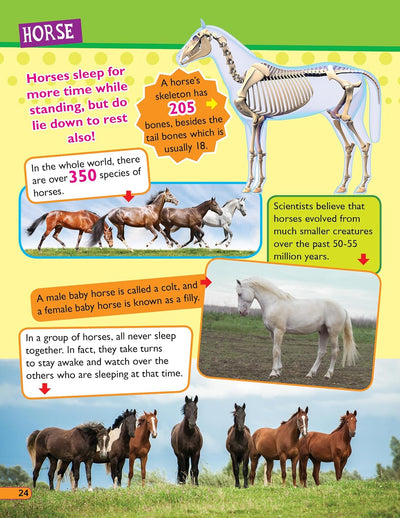 365 Facts on Animals and Birds Book for Children [Paperback]