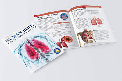 Human Body Box Set Knowledge Encyclopedia For Children [Paperback]