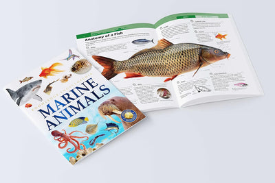Knowledge Encyclopedia - Marine Animals [Paperback]