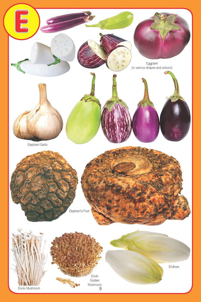My Jumbo Vegetable Picture [Paperback]
