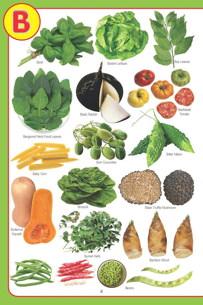 My Jumbo Vegetable Picture [Paperback]