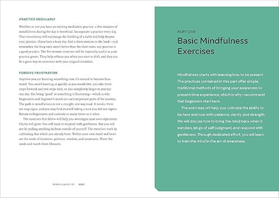 PRACTICING MINDFULNESS by Mathew Sockolov [Paperback]