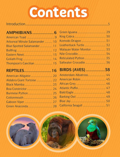 Animal World Children's Encyclopedia by Team Pegasus [Hardcover]