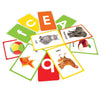 Amazing Flash Cards Set Of 4 Boxes [Cards]