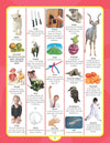 Junior Picture Dictionary by Dreamland Publications [Paperback]