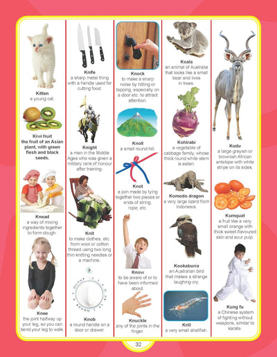 Junior Picture Dictionary by Dreamland Publications [Paperback]