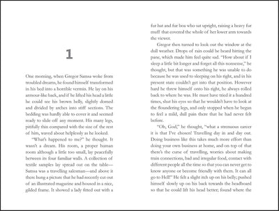Metamorphosis by Franz Kafka, David Wyllie [Paperback]